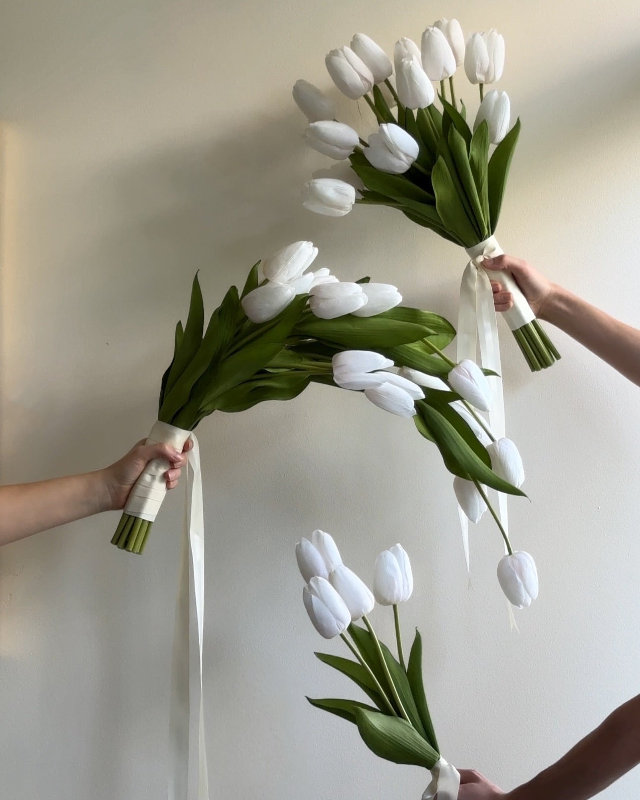 Three bouquets of white tulips held by hands against a plain background